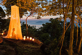 man meditating under a canopy in the forest